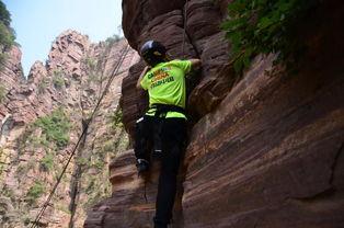 峡谷最新爆料音乐是什么